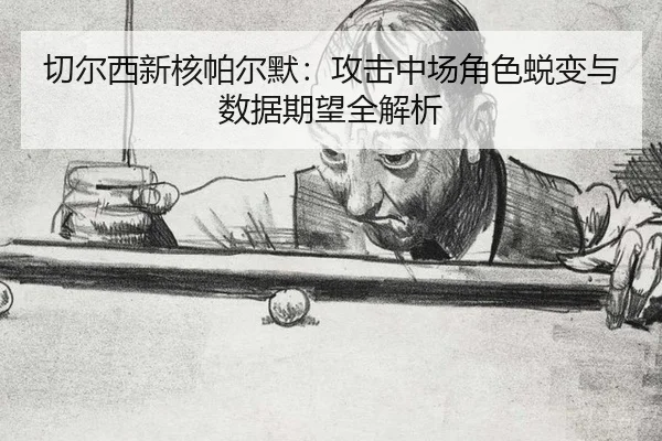 qie-er-xi-xin-he-pa-er-mo-gong-ji-zhong-chang-jue-se-tui-bian-yu-shu-ju-qi-wang-quan-jie-xi-2-847.jpg