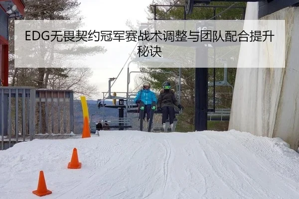 EDG无畏契约冠军赛战术调整与团队配合提升秘诀